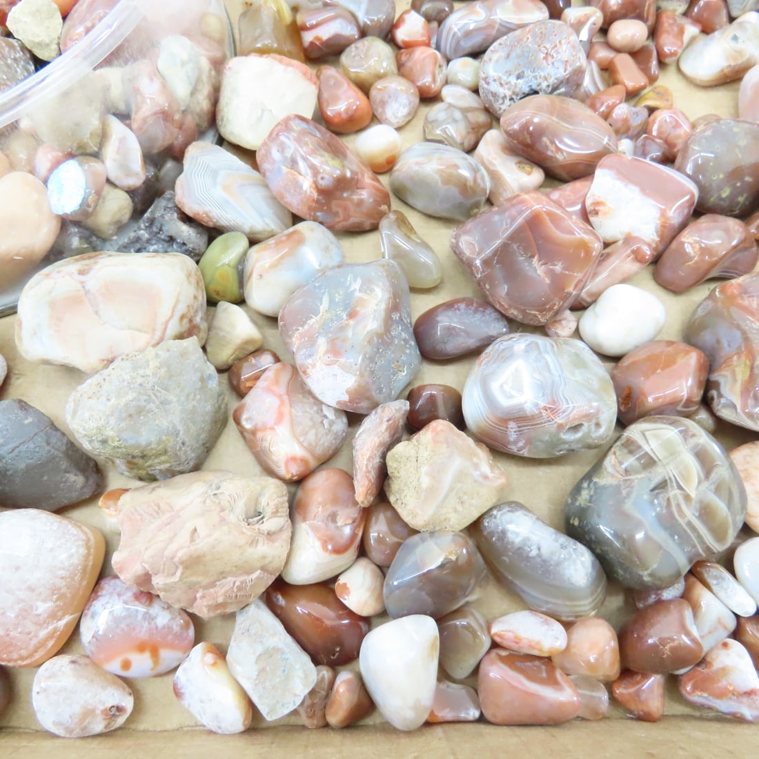 Polished Lake Superior Agates & other rocks - 7