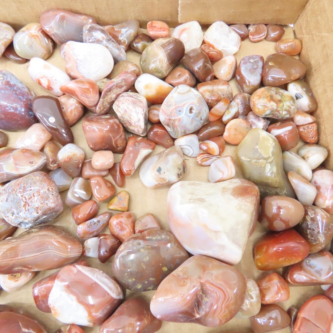 Polished Lake Superior Agates & other rocks - 8