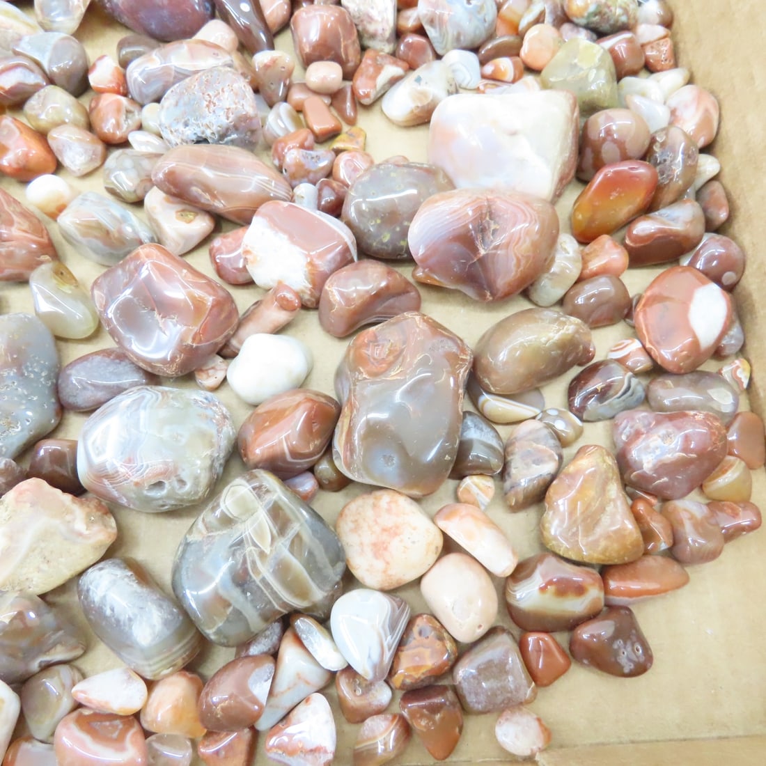 Polished Lake Superior Agates & other rocks - 9