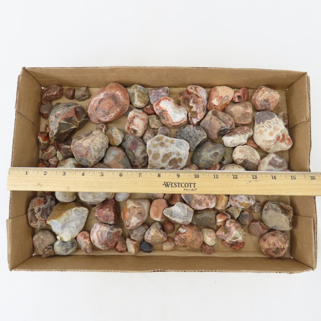 Collection of Lake Superior Agates & other rocks - 2