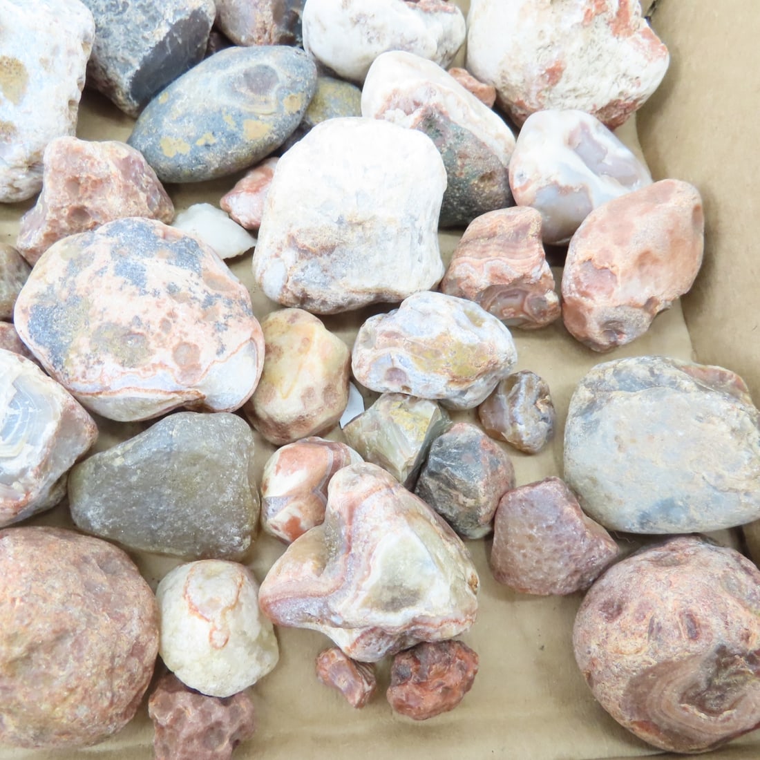 Collection of Lake Superior Agates & other rocks - 8