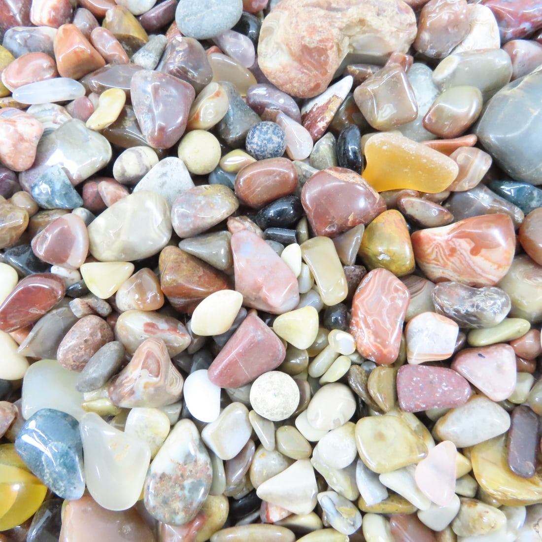 Polished Lake Superior Agates & other rocks - 10