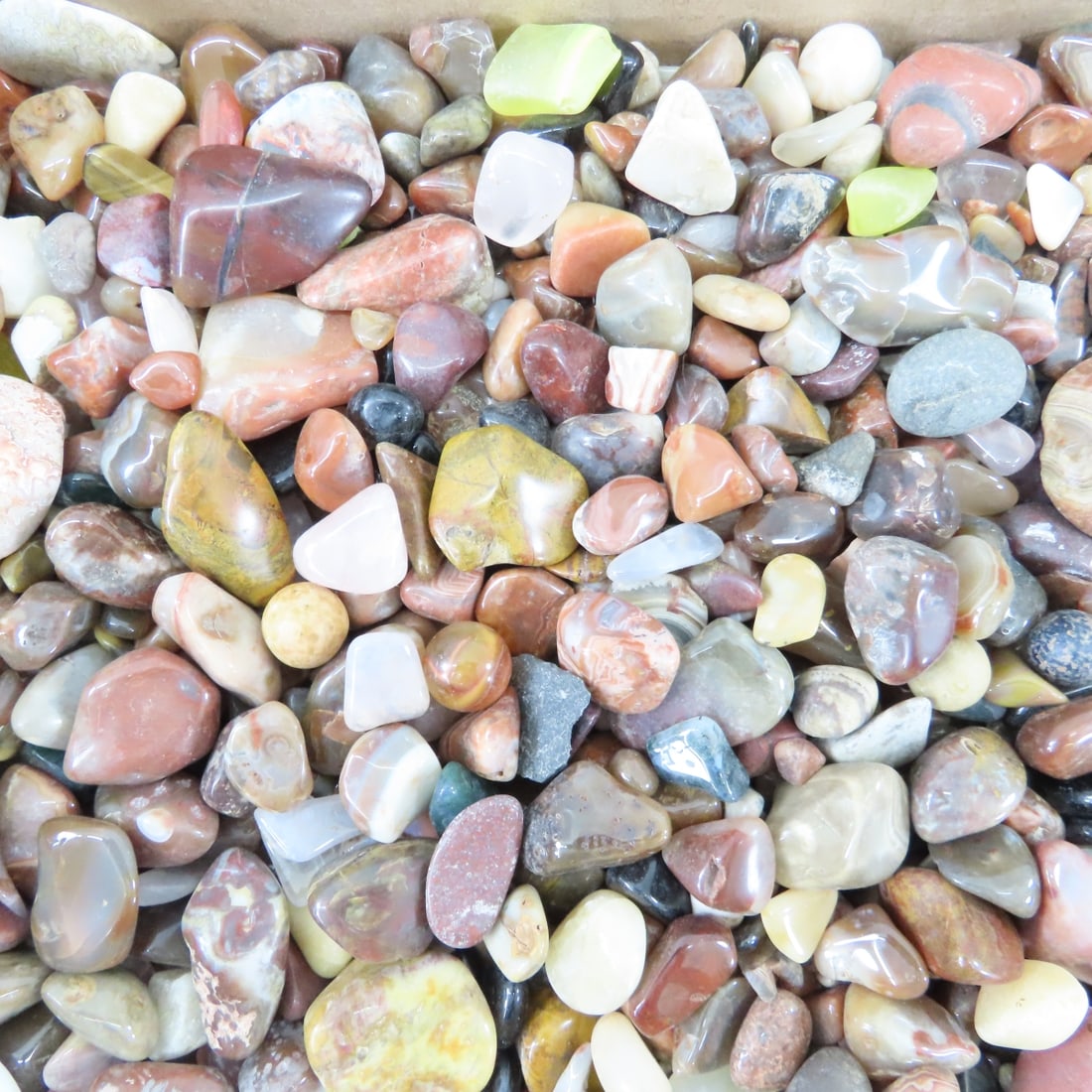 Polished Lake Superior Agates & other rocks - 9