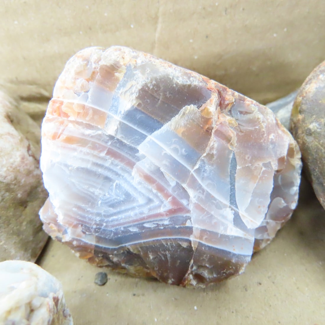 Collection of Lake Superior Agates & other rocks - 10