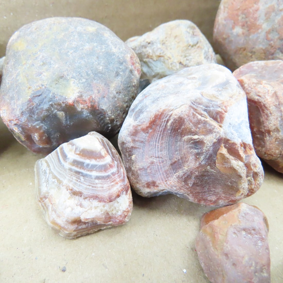Collection of Lake Superior Agates & other rocks - 11