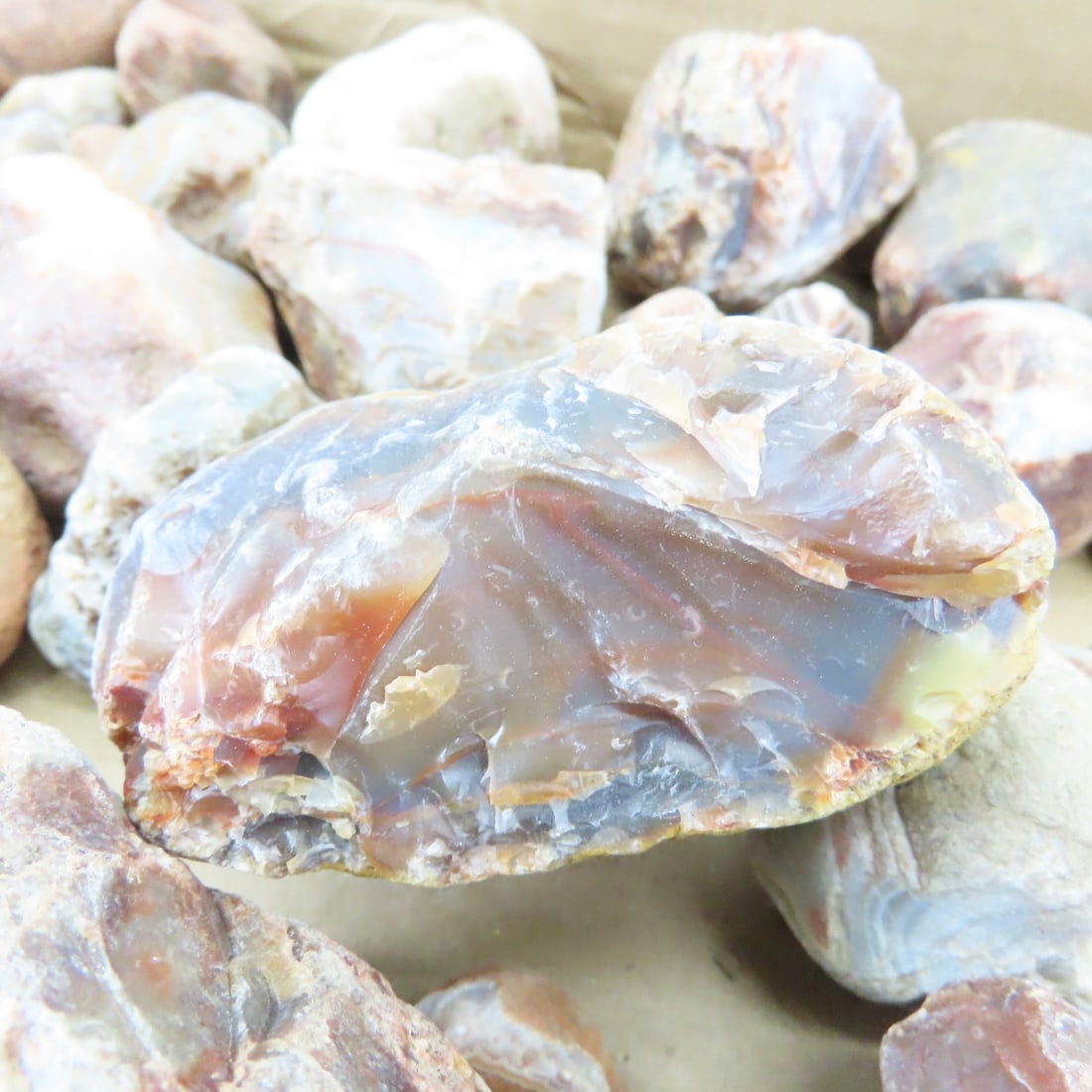 Collection of Lake Superior Agates & other rocks - 12