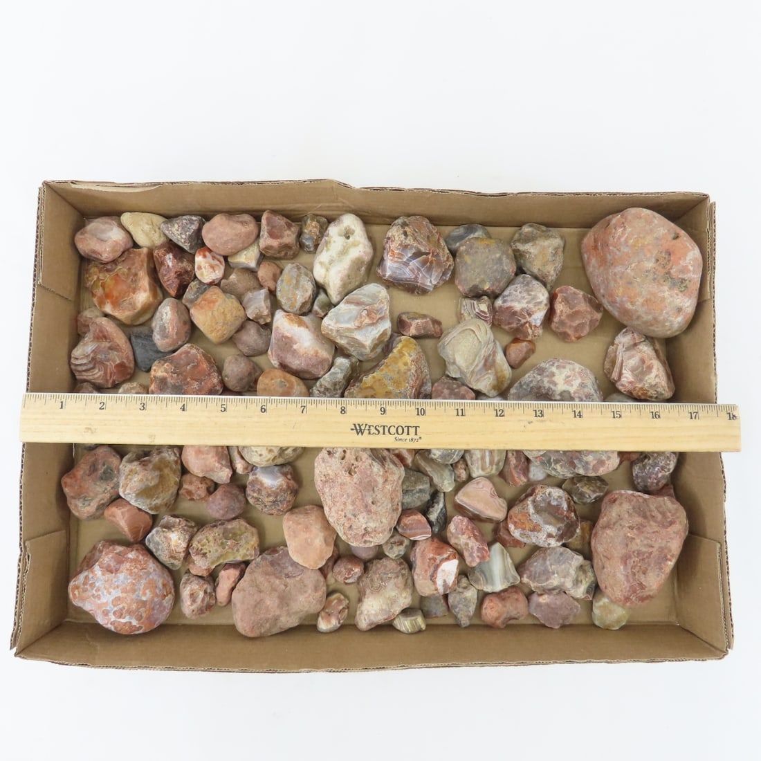 Collection of Lake Superior Agates & other rocks - 2