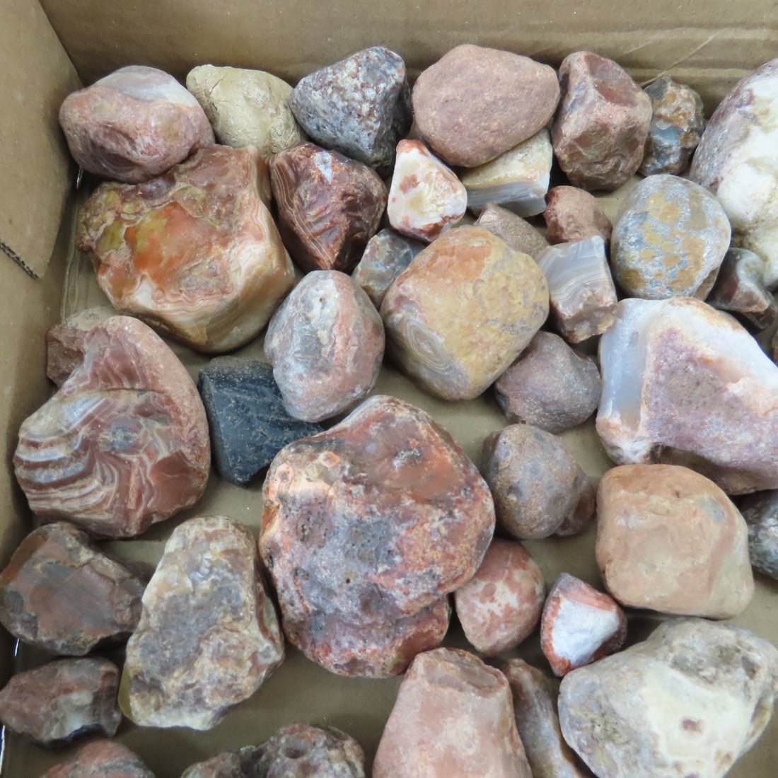 Collection of Lake Superior Agates & other rocks - 3