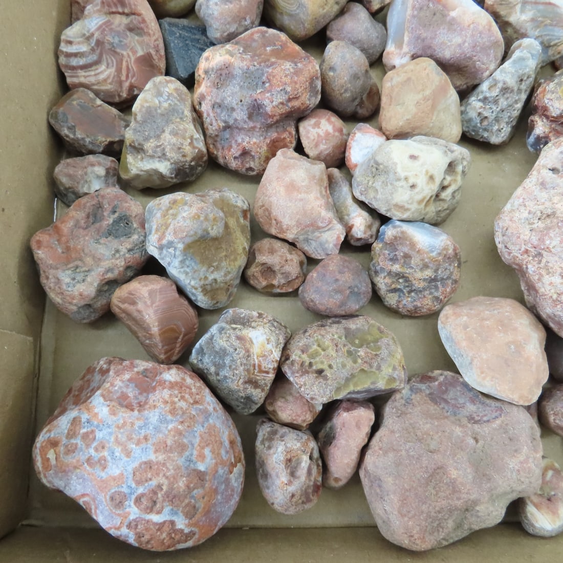 Collection of Lake Superior Agates & other rocks - 4