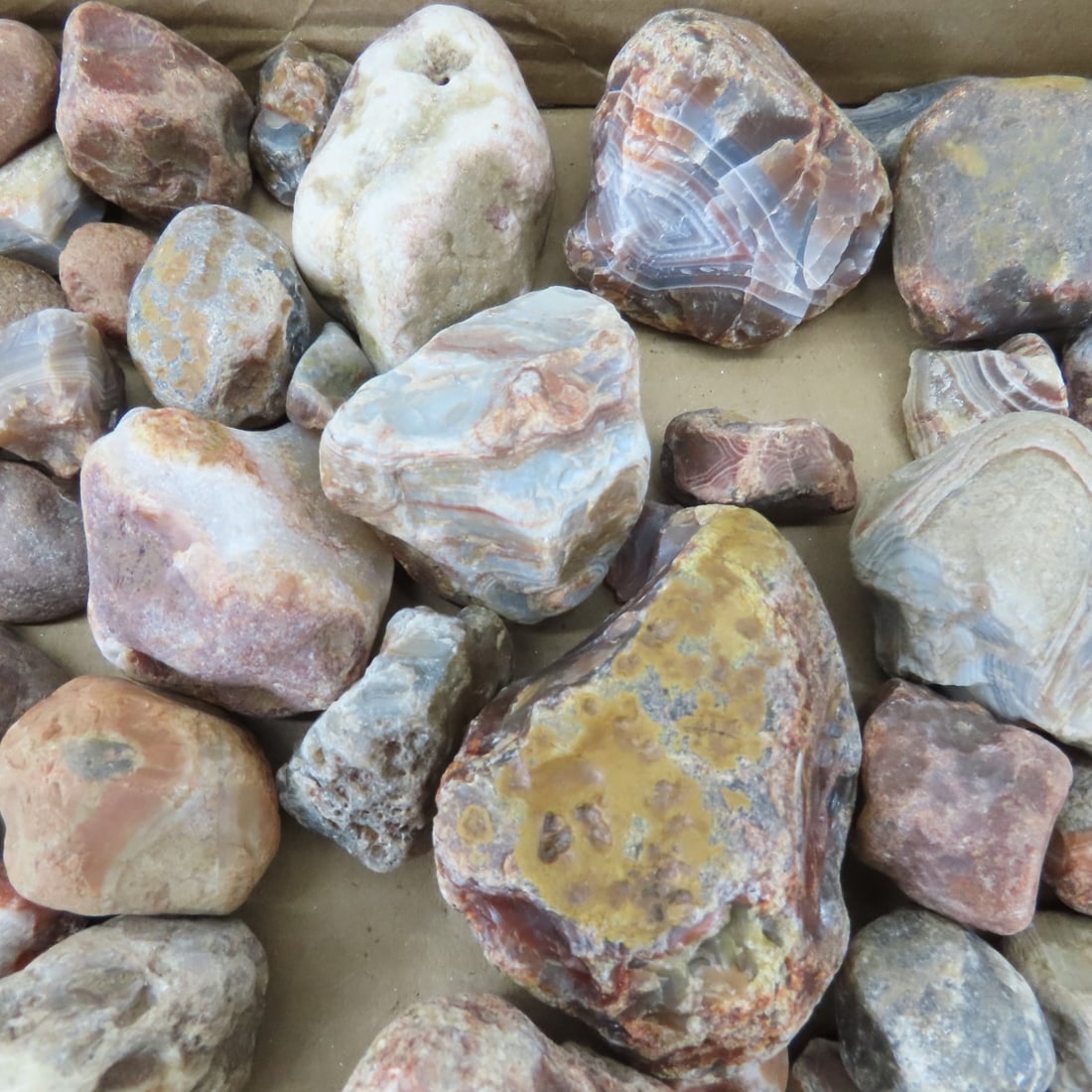Collection of Lake Superior Agates & other rocks - 5
