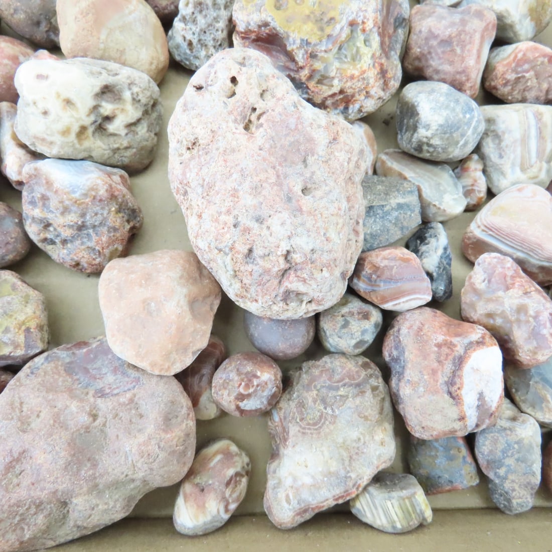 Collection of Lake Superior Agates & other rocks - 6