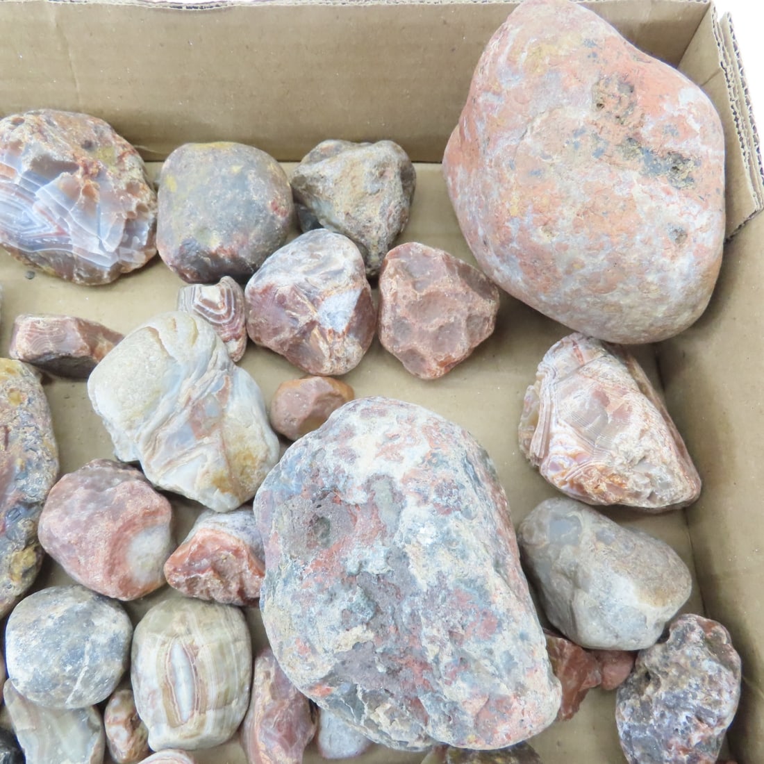 Collection of Lake Superior Agates & other rocks - 7