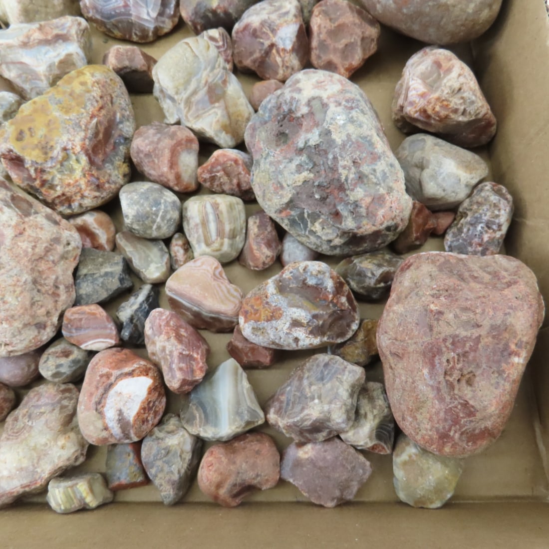 Collection of Lake Superior Agates & other rocks - 8