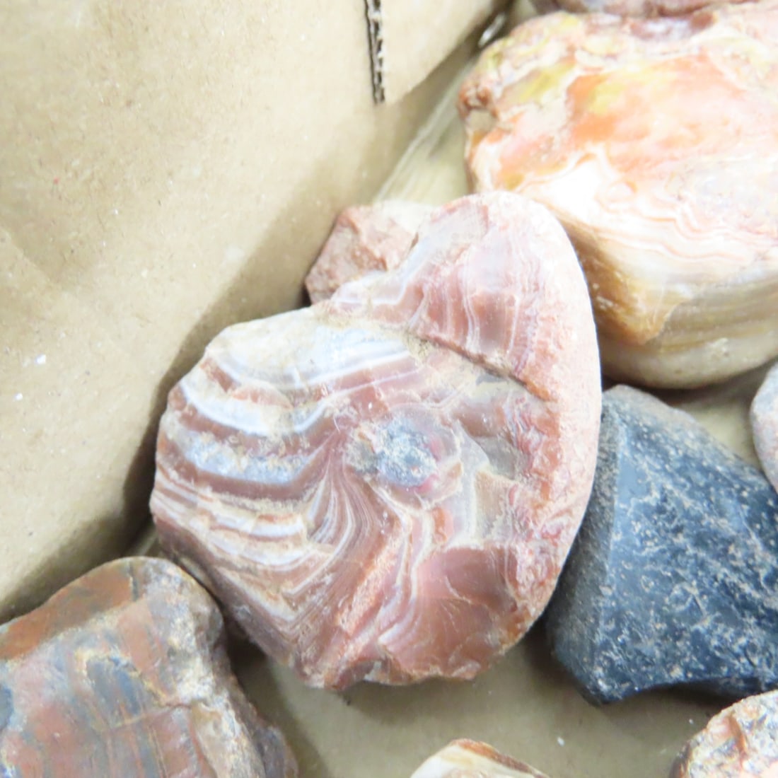 Collection of Lake Superior Agates & other rocks - 9
