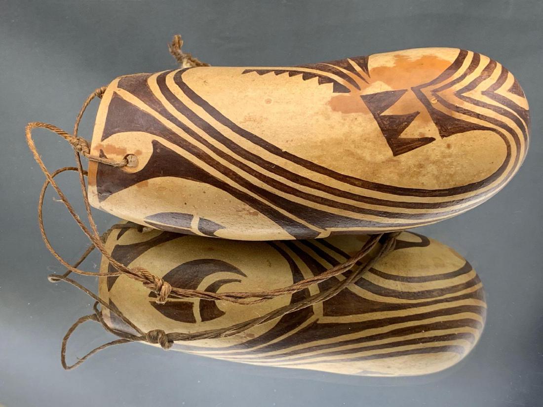 Koteka Gourd Penis Cover, Papua New Guinea: Papua New Guinea Koteka penis gourd. 6.5in 14in cord.