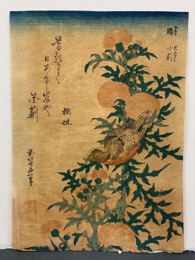Katsushika Hokusai, "Crossbill and Thistle", Ukiyo-E: Katsushika Hokusai Japanese woodblock print titled Crossbill and Thistle. 9.75 x 7 in.
