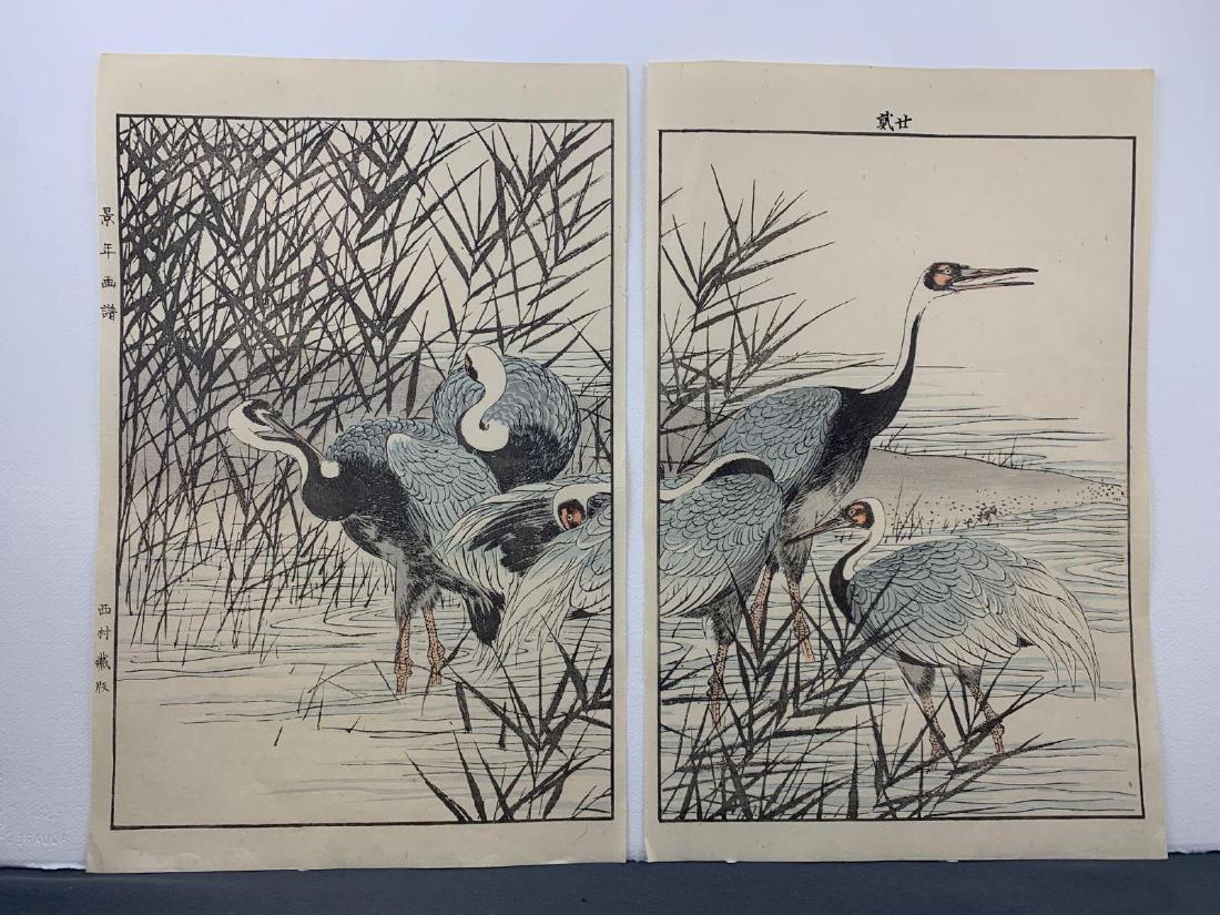 Imao Keinen, "Manazuru Hooded Cranes", Diptych ukiyo-E: 2 Imao Keinen Japanese woodblock Diptych prints titled Manazuru hooded cranes, 1891. From series Four Seasons Summer Album. 14.5 x 9.5in each.