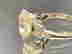 item-69752561=14