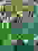 item-72942172=5