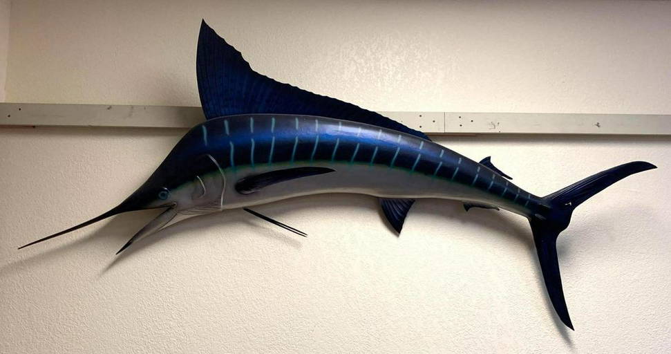 Vintage Blue Marlin Mount