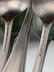 19 Sterling Silver Spoons, 348g - 7