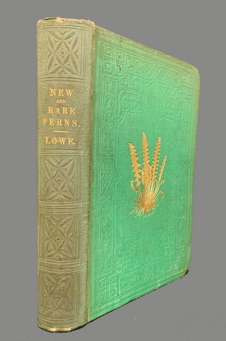 Natural History of New And Rare Ferns by E. J. Lowe.: Natural History of New And Rare Ferns by E. J. Lowe. Contains beautiful colored illustrations and wood cuts.