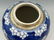 Kangxi Style Prunus Flower Chinese Porcelain Ginger - 5