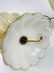 Phenomenal Pair of Murano Art Glass Table Lamps, - 14