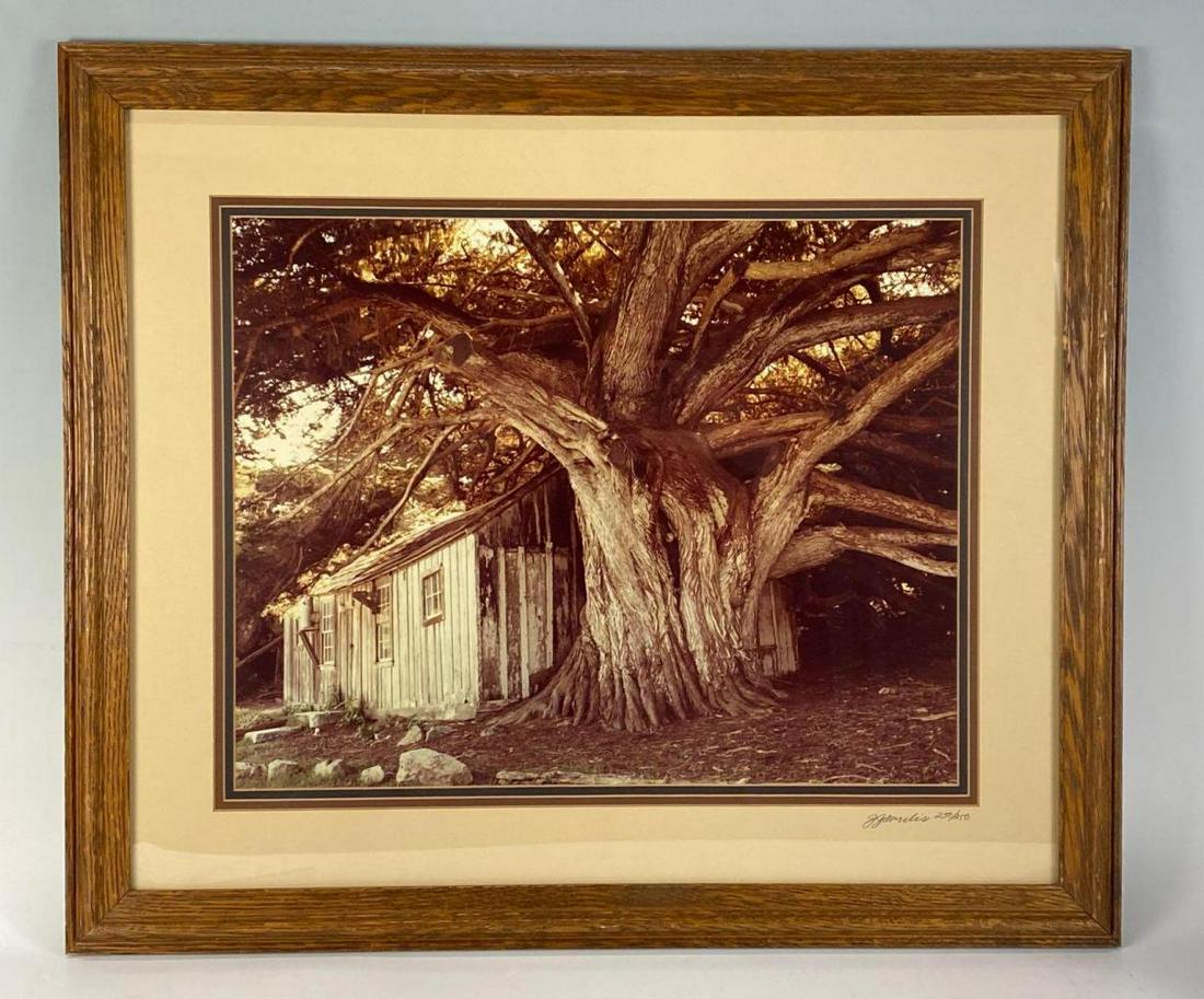 John Gavrilis, Framed Photograph of Whalers Cabin, (1 of 9)
