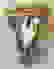 item-97933484=2