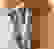 item-97933484=5