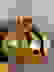 item-104239141=6
