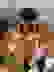 item-104239141=7