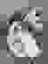 item-104239144=4