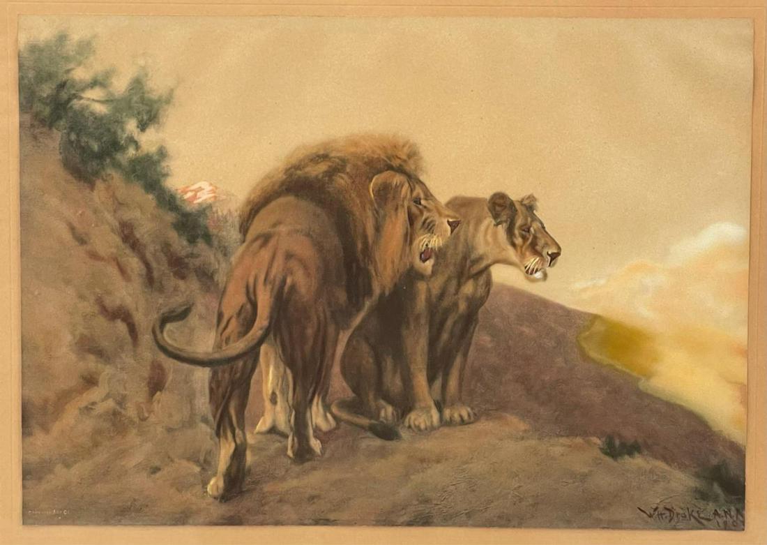 William Henry Drake, Lions on a Cliff, Gauche on Paper (1 of 13)