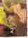 item-114671610=4