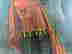 item-117833437=3