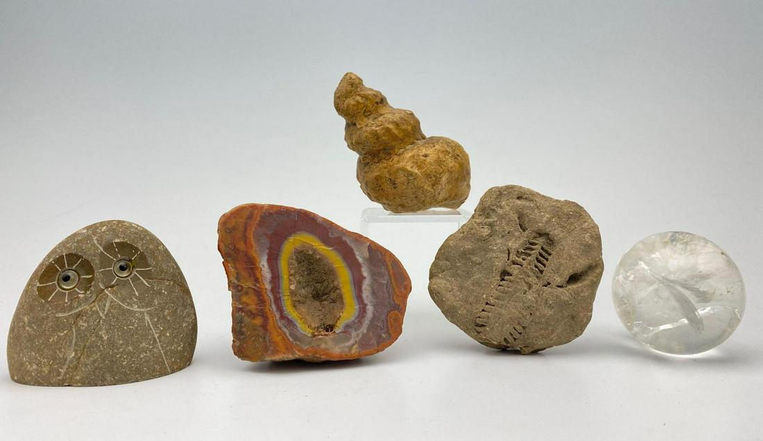 Lot of Mineral Specimens, Including Fossils and Geode (1 of 14)