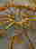 item-128941300=11