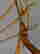 item-128941300=13