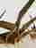 item-130315357=11