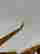 item-130315357=12