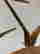 item-130315357=13