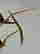 item-130315357=18
