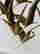 item-130315357=19
