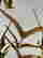 item-130315357=6