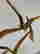 item-130315357=7