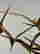 item-130315357=9