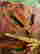 item-130315362=4