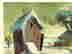 item-130315385=4